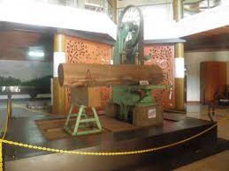 Mengenal Museum Kayu di Sampit
